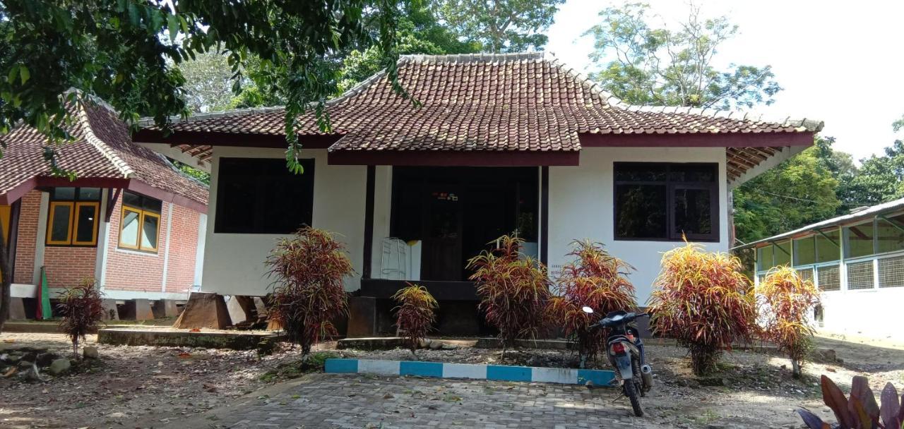 Sukamade Adventure Banyuwangi (East Java) Exterior foto